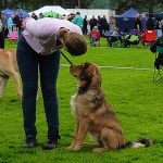 Disa and Maria at dogshow in Svenstavik in August