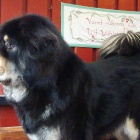 Ruffa 4 years old today