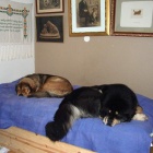 Disa and Ruffa