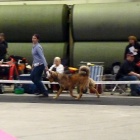 Disa in ring 