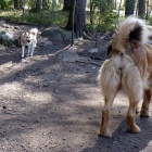 Disa and Masi april 14