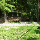 Dogsyard 2 