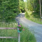 Summer road