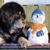 Ruffa and snowman big P1620538
