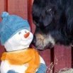 Simus and snowman P1620574