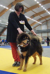 Humla got reserve CAC at Sundsvall 2016 04 10 Humla got reserve CAC at Sundsvall 2016 04 10