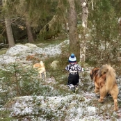 Edwin och hans hundar 15781642_10153955144031076_3798861184360382388_n