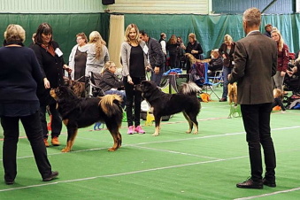 Tack Cindy Martiin för fotot av oss från Köping 29/10.17 Tack Cindy Martiin för fotot av oss från Köping 29/10.17