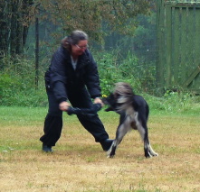 2010 Bod Khyi Dom Ransi 2010 Bod Khyi Dom Ransi