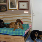 Trio in bed P1300257