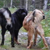 Disa and Taiyang. Foto P Näslund