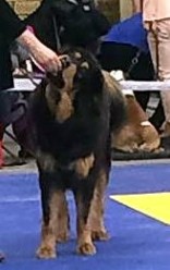 2018 04 08 Tack Moa Eriksson för fotot! 2018 04 08 Tack Moa Eriksson för fotot!