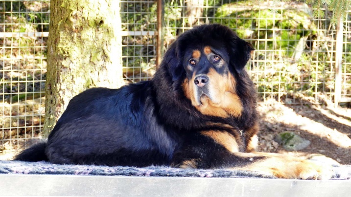 Bacchus 1 year Bacchus 1 year
