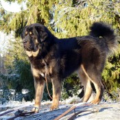 Vanna 11 months