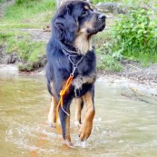 Vanna wading P1290741