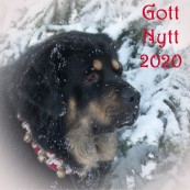 Vanna Gott Nytt 2019