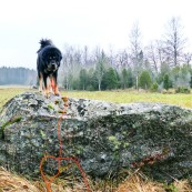 Vanna on a stone P1380769