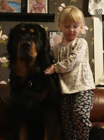Koori 5 years 1 month old with his young owner. Photo. A Andersson Åkesson