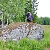 Bacchus on his stone P1490282