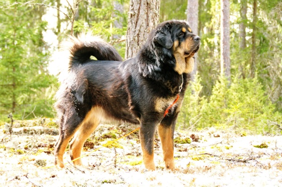 Vanna 3 years 2 months old Vanna 3 years 2 months old