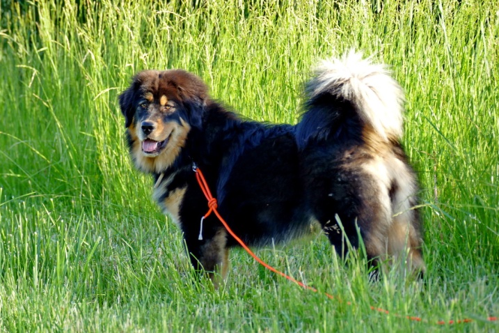 7 months old 7 months old