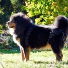 Humla 6 years 9  months olds