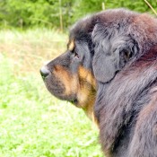 Vanna profile P1760275