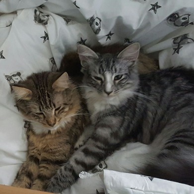 Nellie & Pärla