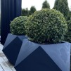 A IBME EXKLUSIVE LIMITED EDITION LARGE KRUKA ANTRACITE