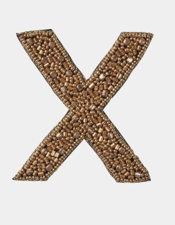 BROOCH EXKLUSIVE X