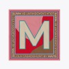 A LOLA CASADEMUNT M SCARF