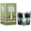 A ORTIGIA SICILIA Fico d'India Large Square Candle