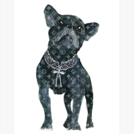 Mercedes Lopez Charro - Frenchie Fashion Dog