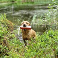 IMG_8314 IMG_8314