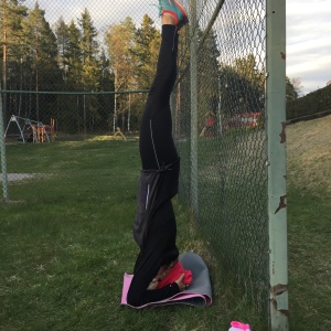 Funktionell träning