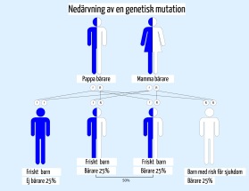 Genetisk IVF test och analys