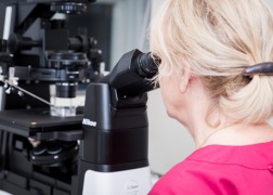 One of our embryologists conducting an ICSI procedure.