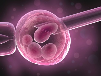 Donator IVF, provrörsbefruktning (IVF) med donerade spermier & ägg hos GynHälsan Fertilitet