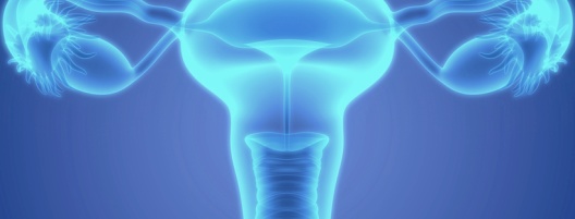 Ägglossningsstimulering, behandling med ovulationsinduktion GynHälsan Fertilitetsklinik Minerva Fertility