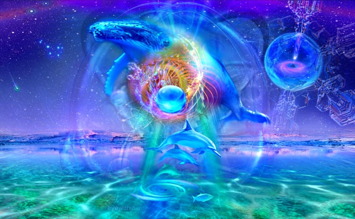 To be a Certified Dolphin Yoga Instructor have many benefits! To be a Certified Dolphin Yoga Instructor have many benefits!