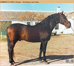 ALBERO II, f. 1967, e. Cesar u. Arcillosa, uppf. Francisco Lazo Diaz ALBERO II, f. 1967, e. Cesar u. Arcillosa, uppf. Francisco Lazo Diaz
