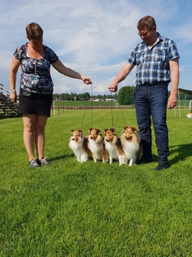 Lapplandia's kennels första uppfödaregrupp blev 3:a med Hp Lapplandia's kennels första uppfödaregrupp blev 3:a med Hp