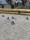 boule bild 3