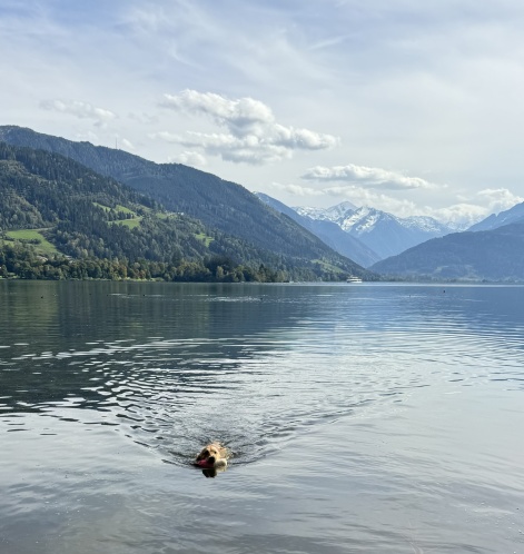 Zero apporterar i Zell am See