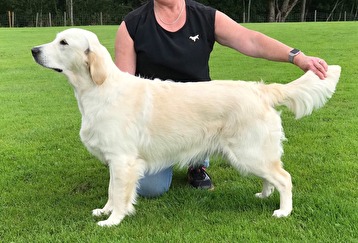 "Holley" 9 månader "Holley" 9 månader