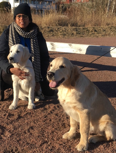 Två av Stellas valpar. Naja och Barkis, 5 månader. Två av Stellas valpar. Naja och Barkis, 5 månader.