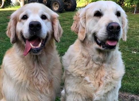 Hugo och Noa. Hugo och Noa.