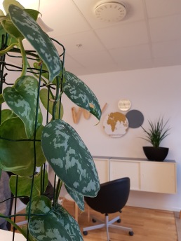 Simsalabim Förvandlingsdesign_Miljöförvaltningen_Efter1 Simsalabim Förvandlingsdesign_Miljöförvaltningen_Efter1