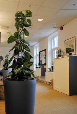 Simsalabim Förvandlingsdesign_Miljöförvaltningen_Efter4 Simsalabim Förvandlingsdesign_Miljöförvaltningen_Efter4