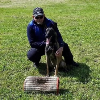 Clinic - problembeteenden - Åhörarplats (utan hund)